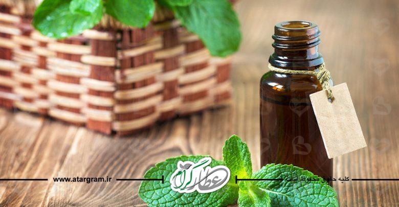 گیاه دارویی نعنا فلفلی