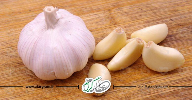 خواص سیر