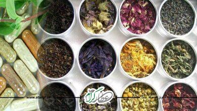 خواص انواع ادویه های غذایی در طب سنتی
