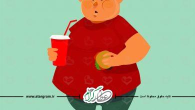 علت و دلایل چاقی چیست؟