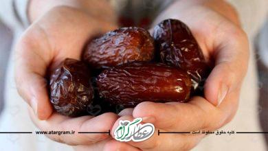 فواید و خواص خرما و رطب تازه برای سلامتی
