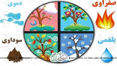 شناخت انواع مزاج و طبع یا مزاج شناسی در طب سنتی