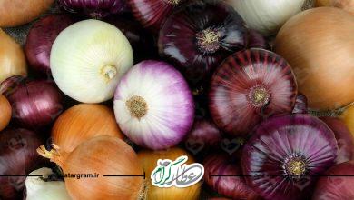 خواص پیاز