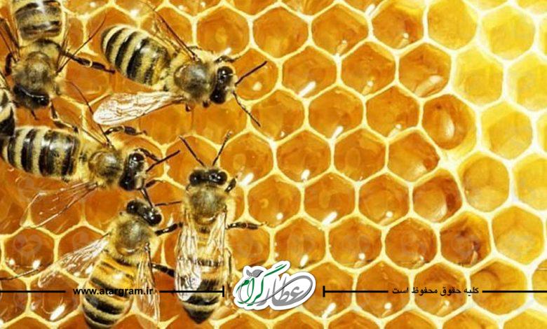 معجزات درمانی عسل
