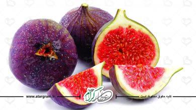 خواص انجیر