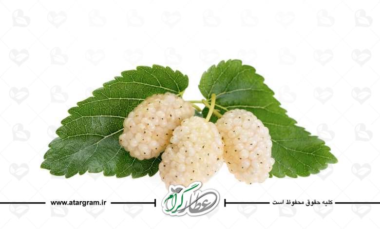 خواص توت سفید چیست؟