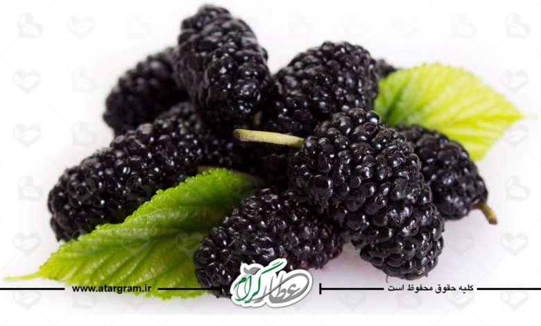 خواص توت سیاه چیست؟