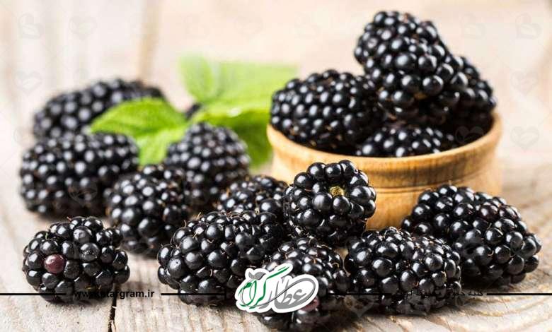 خواص شاه توت چیست؟