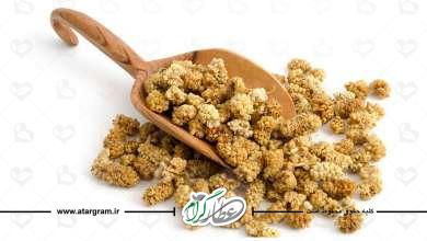 توت خشک چه خواصی دارد؟