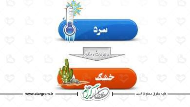 مزاج سوداوی سرد و خشک در طب سنتی