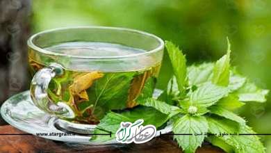 دمنوش پونه و عسل