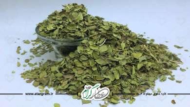 آویشن شیرازی چه خواصی دارد؟