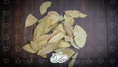 فواید برگ بو چیست؟