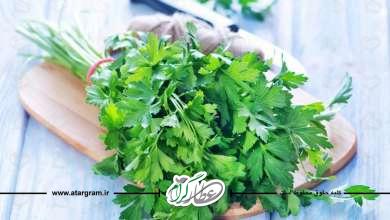 خواص جعفری برای سلامتی چیست؟