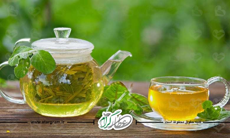 خواص و فواید و خاصیت چای سبز