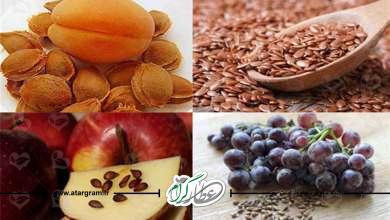 خواص و فواید هسته میوه ها در طب سنتی