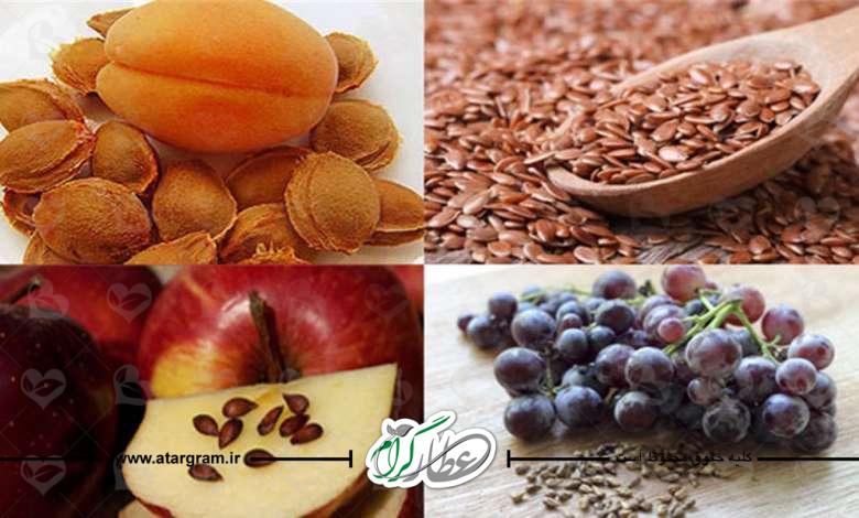 خواص و فواید هسته میوه ها در طب سنتی