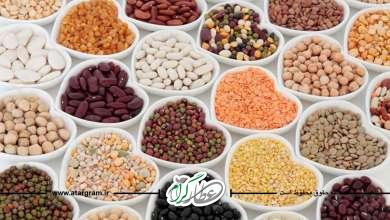 خواص حبوبات چیست؟