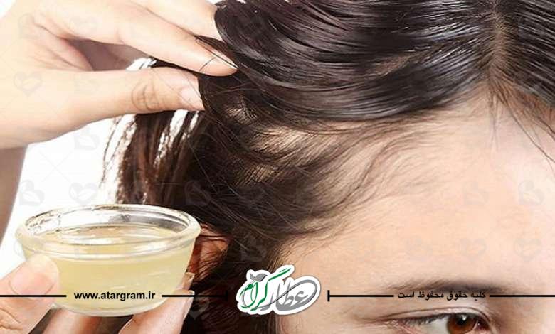 خواص روغن تراپی و احیا مو پر طب سنتی