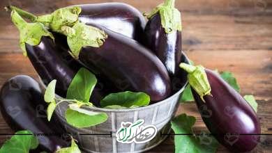 خواص و فواید پوست بادمجان برای سلامتی در طب سنتی