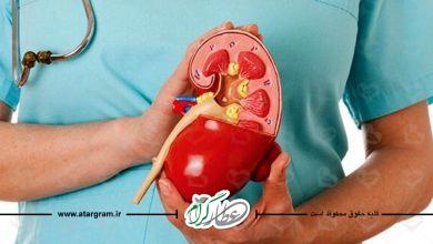 علائم بیماری های کلیوی و نارسایی کلیه و پهلو درد