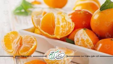 طبع نارنگی و مصلح آن در طب سنتی