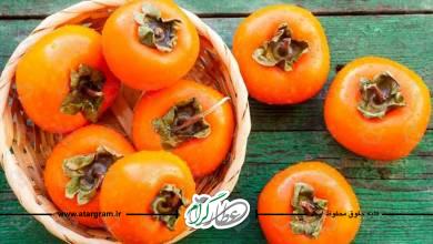 خواص ٬ فواید میوه خرمالو در طب سنتی