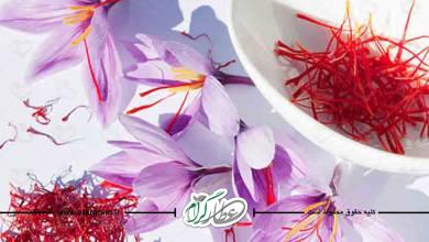 خواص گل زعفران و فواید درمانی آن در طب سنتی