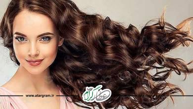 شامپو گیاهی درمانی ضدر ریزش مو و تقویت مو در طب سنتی