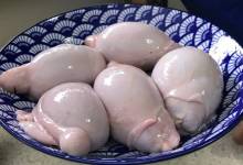 خواص دنبلان گوسفندی در طب سنتی