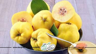 خواص و فواید و طبع میوه به در طب سنتی