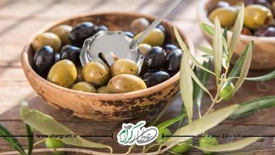 خواص و فواید و طبع زیتون در طب سنتی