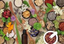 خواص و فواید گیاهان دارویی در طب سنتی