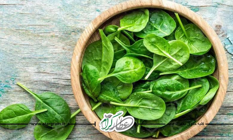 خواص و فواید درمانی اسفناج و طبع آن در طب سنتی