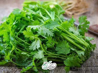 خواص جعفری برای سلامتی 