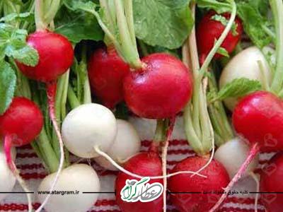 فواید ترب در طب سنتی