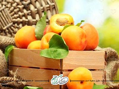 فواید زردآلو برای درمان بیماری‌ها در طب سنتی
