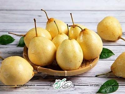 فواید گلابی در درمان بیماری ها