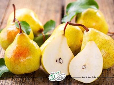 خاصیت گلابی