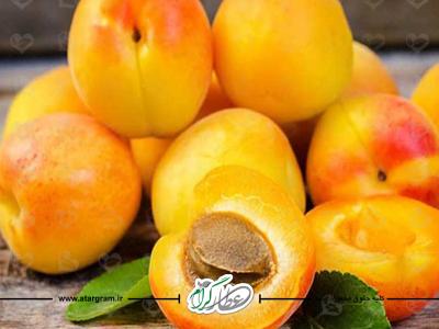 خواص و فواید میوه ها: زردآلو برای سلامتی در طب سنتی