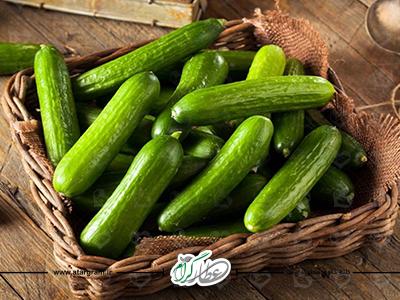 خیار و فواید آن