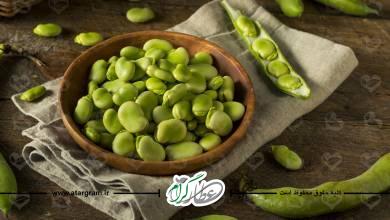 خواص و فواید باقلا (باقالی) برای سلامتی
