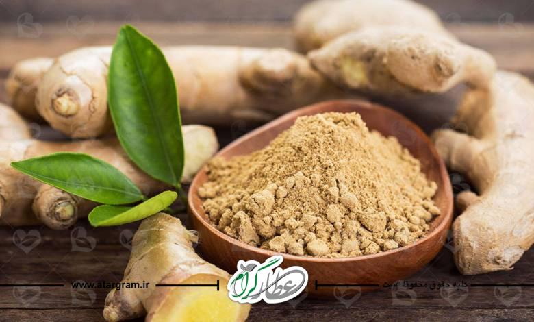 خواص و فواید زنجبیل (زنجفیل برای سلامتی در طب سنتی)