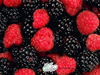 تمشک میوه ای پر خاصیت در طب سنتی