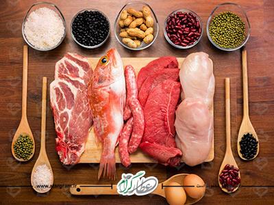 خواص و فواید پروتئین برای سلامتی