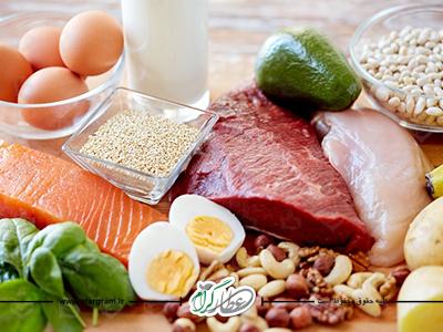 خواص و فواید پروتئین برای سلامتی