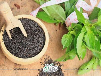 خواص و فواید تخم شربتی در طب سنتی