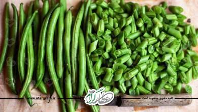 خواص و فواید لوبیا سبز در طب سنتی