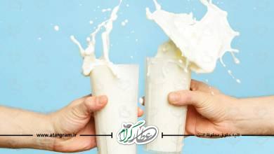 خواص و فواید شیر برای سلامتی و طبع آن