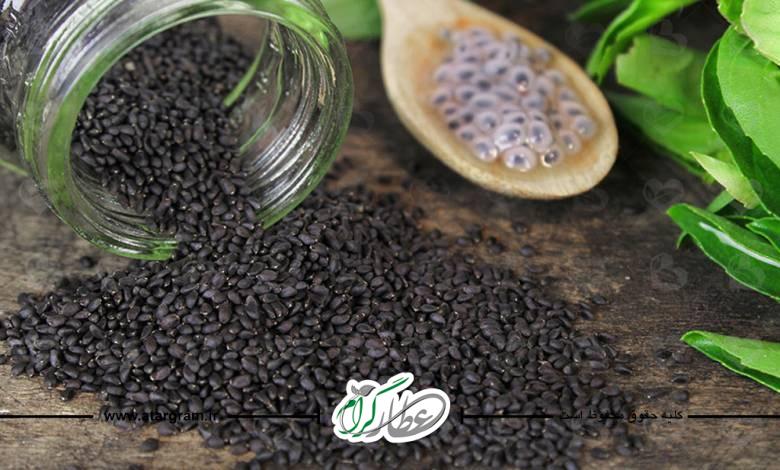 خواص و فواید تخم شربتی در طب سنتی